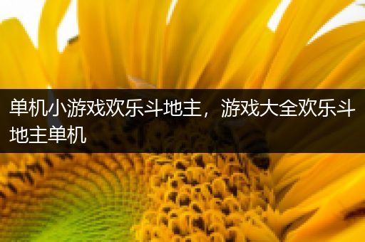 单机小游戏欢乐斗地主，游戏大全欢乐斗地主单机