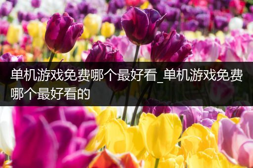 单机游戏免费哪个最好看_单机游戏免费哪个最好看的