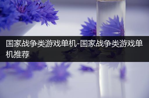 国家战争类游戏单机-国家战争类游戏单机推荐
