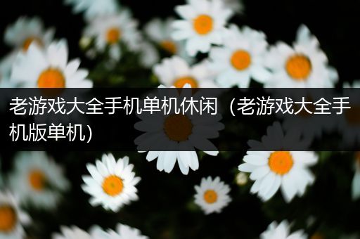 老游戏大全手机单机休闲（老游戏大全手机版单机）