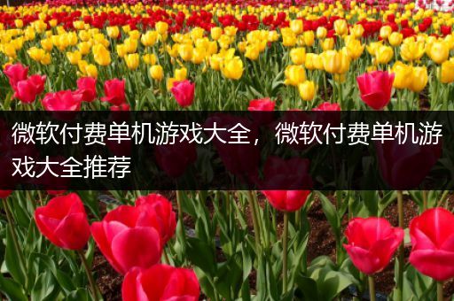 微软付费单机游戏大全，微软付费单机游戏大全推荐