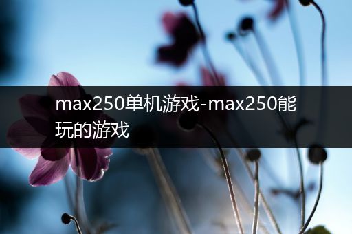 max250单机游戏-max250能玩的游戏