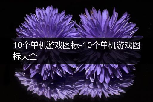 10个单机游戏图标-10个单机游戏图标大全