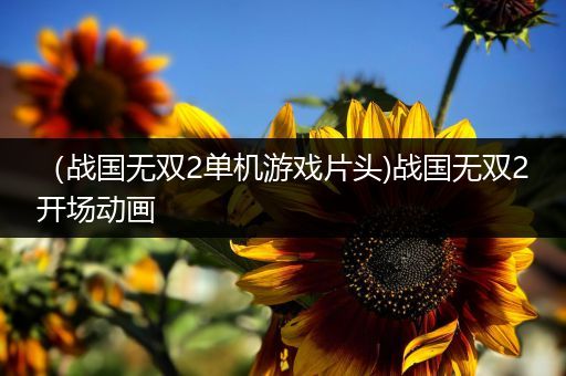 （战国无双2单机游戏片头)战国无双2开场动画