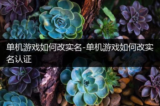 单机游戏如何改实名-单机游戏如何改实名认证