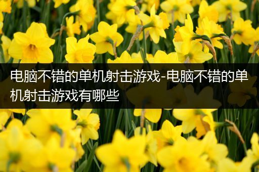 电脑不错的单机射击游戏-电脑不错的单机射击游戏有哪些