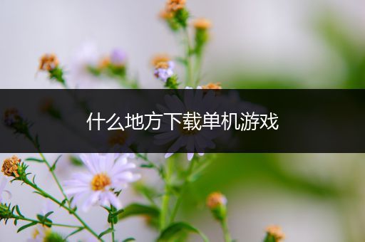 什么地方下载单机游戏