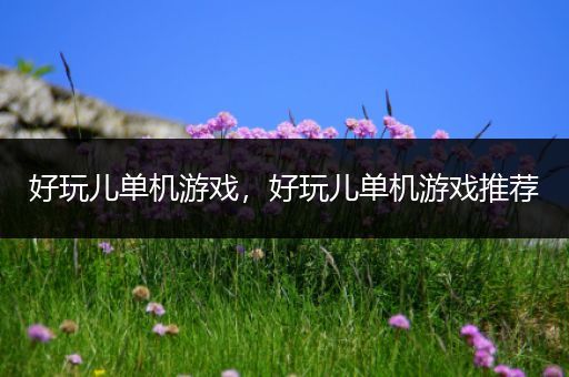 好玩儿单机游戏，好玩儿单机游戏推荐