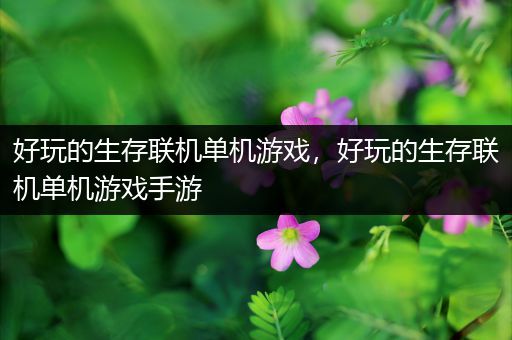 好玩的生存联机单机游戏，好玩的生存联机单机游戏手游