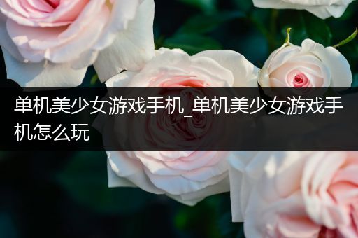 单机美少女游戏手机_单机美少女游戏手机怎么玩