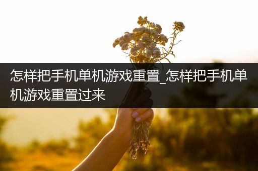 怎样把手机单机游戏重置_怎样把手机单机游戏重置过来
