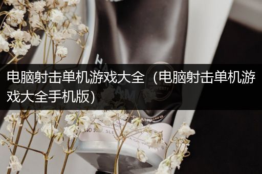 电脑射击单机游戏大全（电脑射击单机游戏大全手机版）