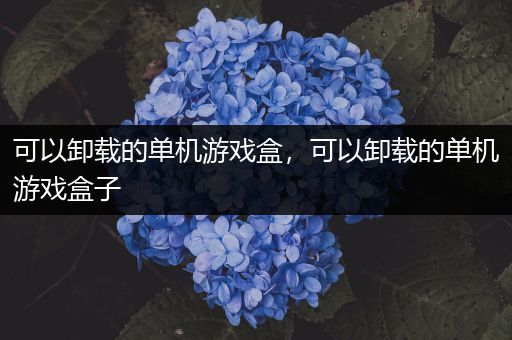 可以卸载的单机游戏盒，可以卸载的单机游戏盒子