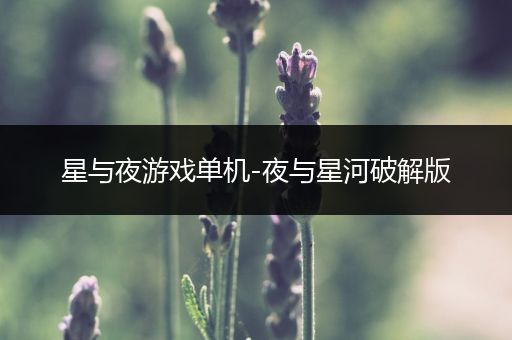 星与夜游戏单机-夜与星河破解版