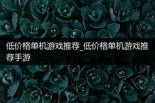 低价格单机游戏推荐_低价格单机游戏推荐手游