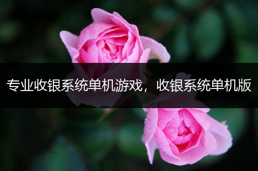 专业收银系统单机游戏，收银系统单机版