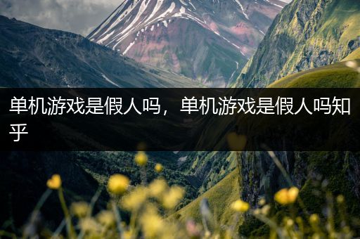 单机游戏是假人吗，单机游戏是假人吗知乎
