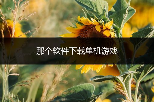 那个软件下载单机游戏