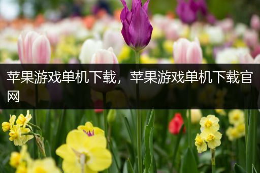 苹果游戏单机下载，苹果游戏单机下载官网