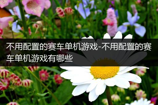 不用配置的赛车单机游戏-不用配置的赛车单机游戏有哪些