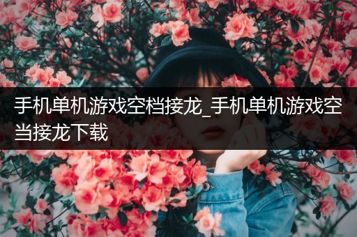 手机单机游戏空档接龙_手机单机游戏空当接龙下载