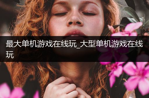 最大单机游戏在线玩_大型单机游戏在线玩