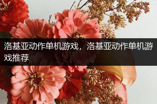 洛基亚动作单机游戏，洛基亚动作单机游戏推荐