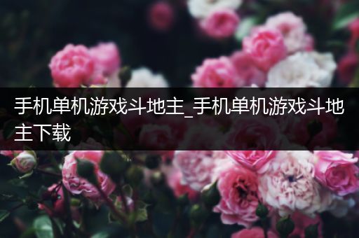 手机单机游戏斗地主_手机单机游戏斗地主下载
