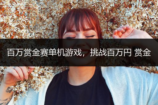 百万赏金赛单机游戏，挑战百万円 赏金
