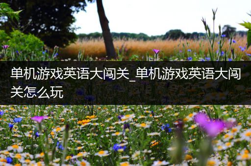 单机游戏英语大闯关_单机游戏英语大闯关怎么玩