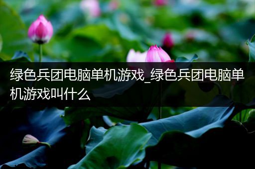 绿色兵团电脑单机游戏_绿色兵团电脑单机游戏叫什么