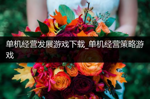 单机经营发展游戏下载_单机经营策略游戏