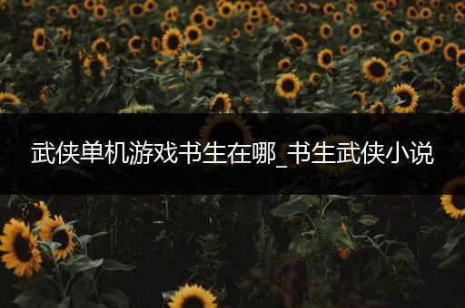 武侠单机游戏书生在哪_书生武侠小说