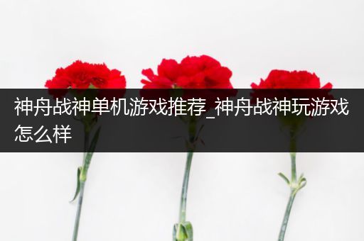 神舟战神单机游戏推荐_神舟战神玩游戏怎么样