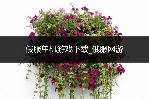 俄服单机游戏下载_俄服网游