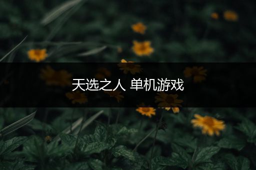 天选之人 单机游戏
