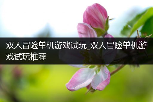 双人冒险单机游戏试玩_双人冒险单机游戏试玩推荐