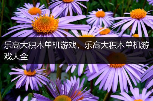 乐高大积木单机游戏，乐高大积木单机游戏大全