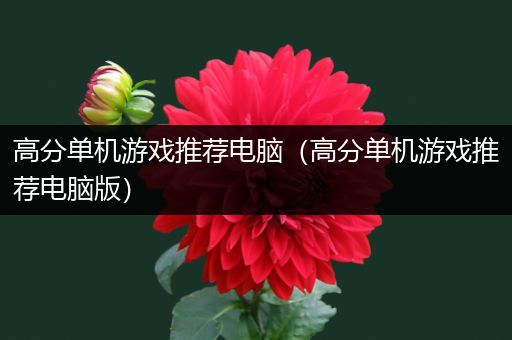 高分单机游戏推荐电脑（高分单机游戏推荐电脑版）