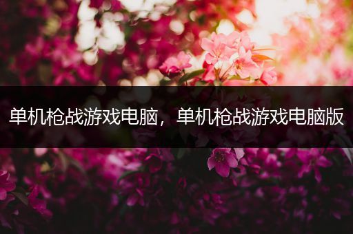 单机枪战游戏电脑，单机枪战游戏电脑版