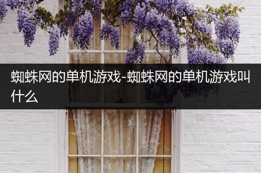 蜘蛛网的单机游戏-蜘蛛网的单机游戏叫什么
