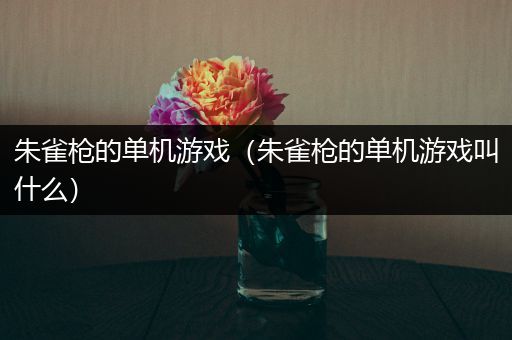 朱雀枪的单机游戏（朱雀枪的单机游戏叫什么）