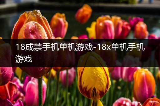 18成禁手机单机游戏-18x单机手机游戏
