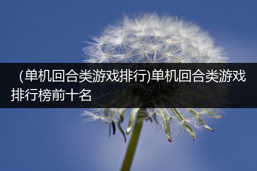 （单机回合类游戏排行)单机回合类游戏排行榜前十名