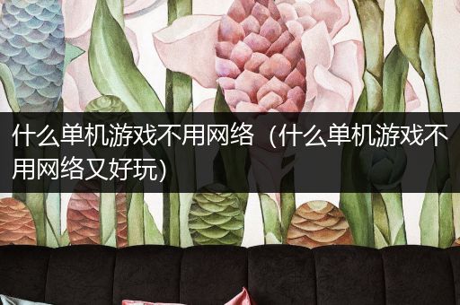 什么单机游戏不用网络（什么单机游戏不用网络又好玩）