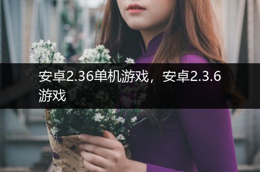 安卓2.36单机游戏，安卓2.3.6游戏