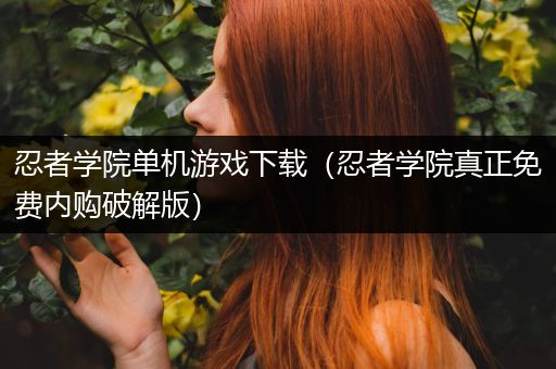 忍者学院单机游戏下载（忍者学院真正免费内购破解版）