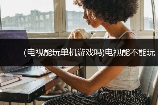 （电视能玩单机游戏吗)电视能不能玩