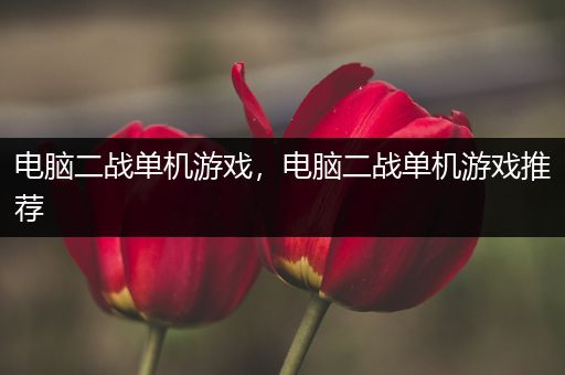 电脑二战单机游戏，电脑二战单机游戏推荐