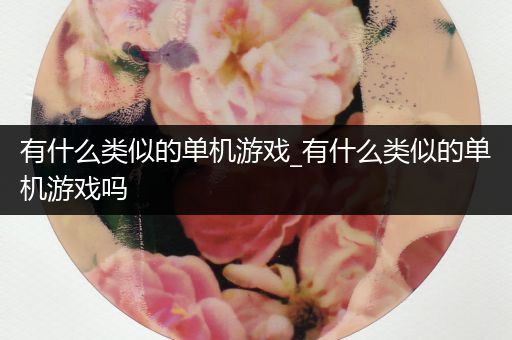 有什么类似的单机游戏_有什么类似的单机游戏吗